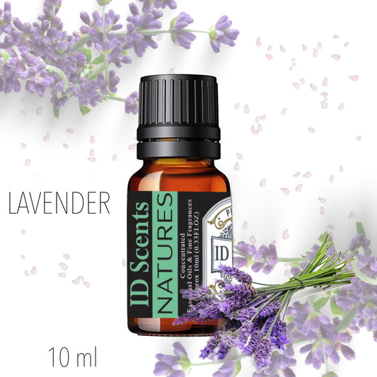 Lavender - Nature Fragrances Perfume Oils