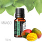 Mango - Nature