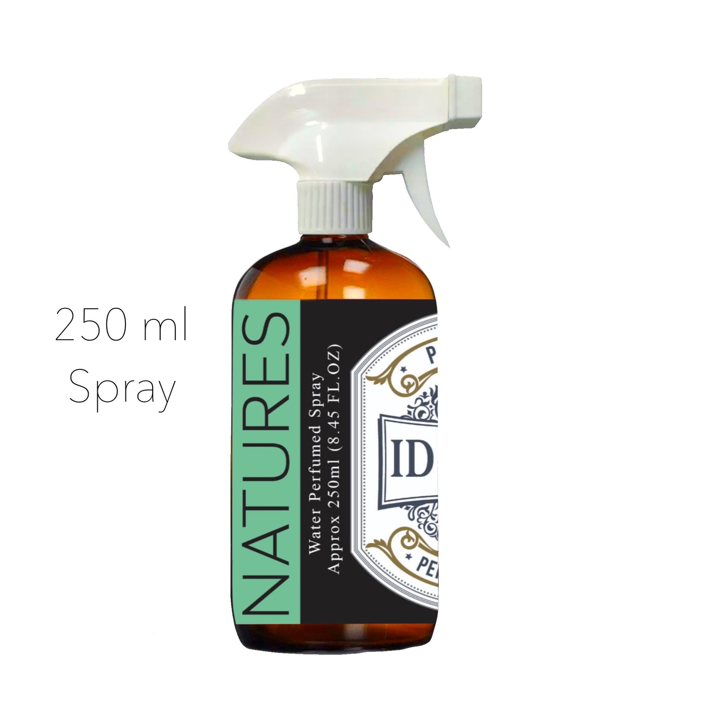 Eucalyptus - Nature
